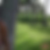 PutriCinta.com thumbnail