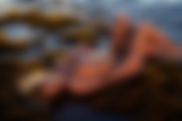 [photodromm.com] 2018-06/[photodromm.com] - 2018.06.22 - Brittie - Laguna Sunset II (x42) 2000x3000/17l.jpg
